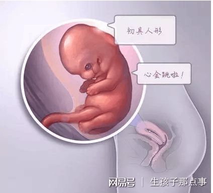 方鉴生殖医学中心
